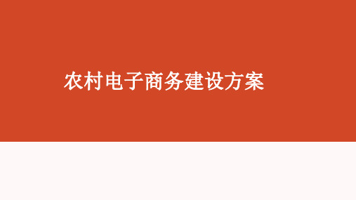 农村电子商务建设方案精品PPT课件