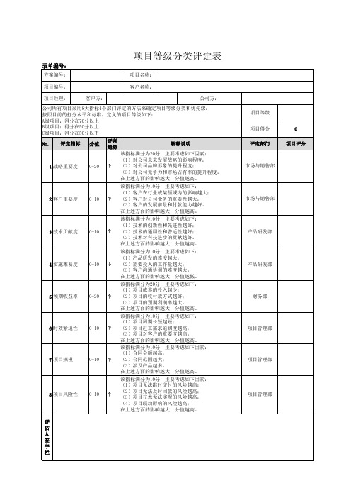 项目等级分类评定表模板