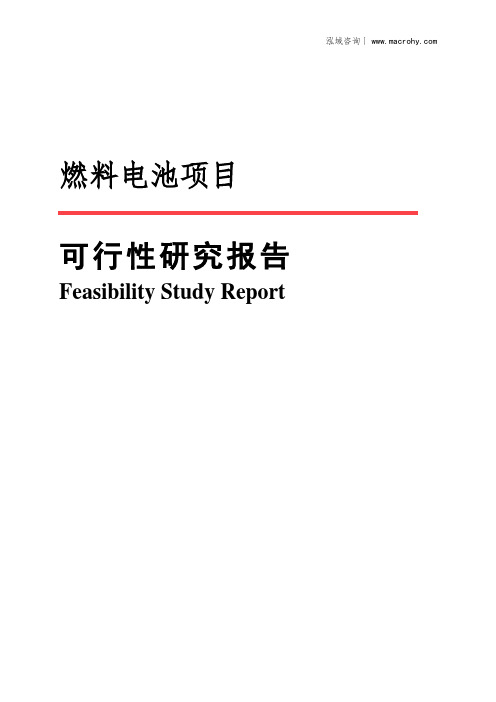 燃料电池项目可行性研究报告