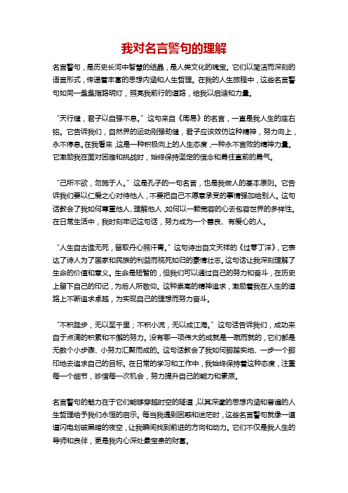 我对名言警句的理解