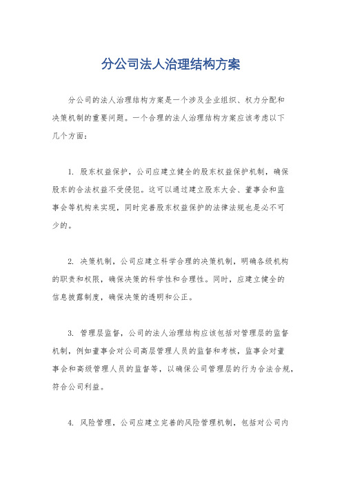 分公司法人治理结构方案