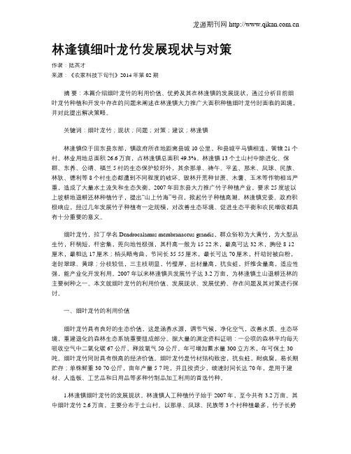 林逢镇细叶龙竹发展现状与对策