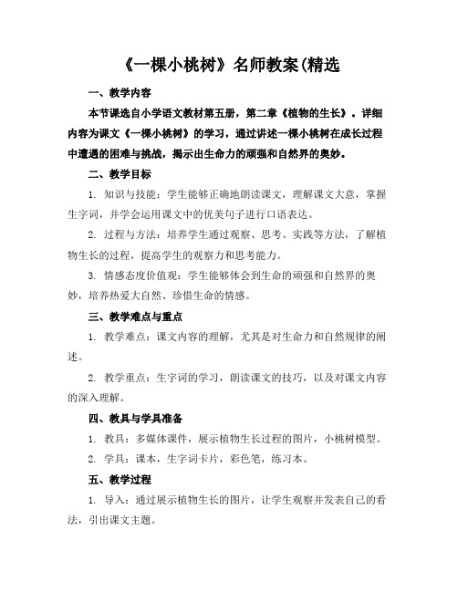 《一棵小桃树》名师教案(精选