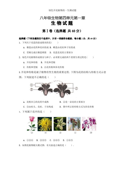 绿色开花植物的一生测试题