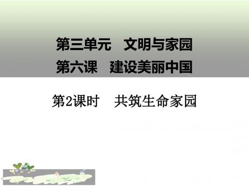 人教版九年级道德与法治上册6.2《共筑生命家园》课件(共23张幻灯片)