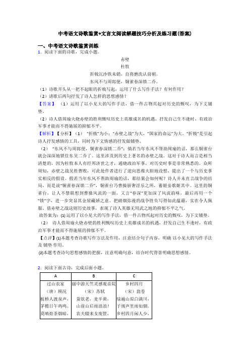 中考语文诗歌鉴赏+文言文阅读解题技巧分析及练习题(答案)