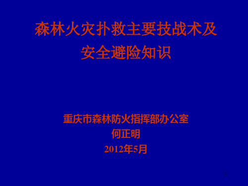 森林火灾扑救主要战术与避险知识ppt课件