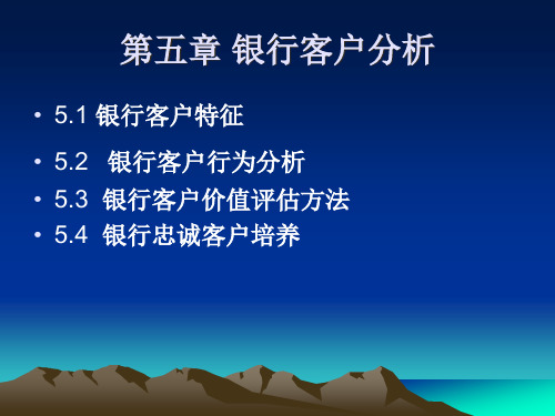 银行客户分析(PowerPoint 35页)