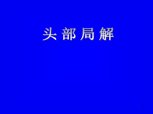 头部解剖ppt课件