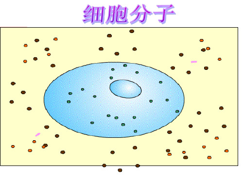 四、运动的相对性