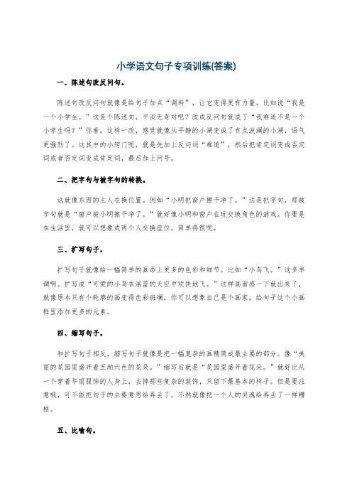 小学语文句子专项训练(答案)