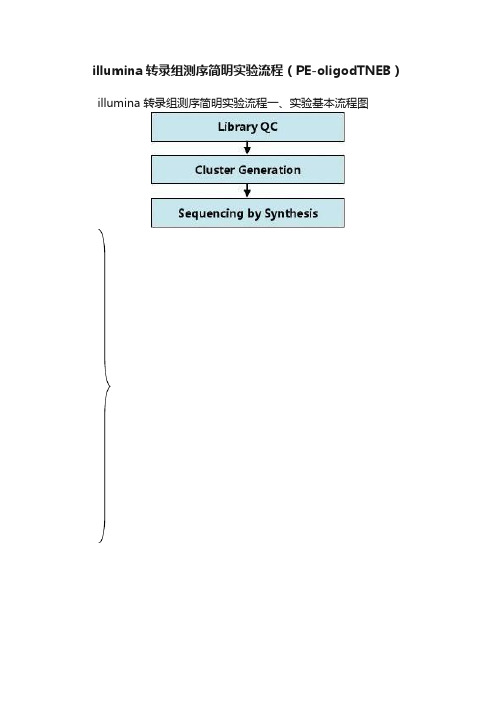 illumina转录组测序简明实验流程（PE-oligodTNEB）