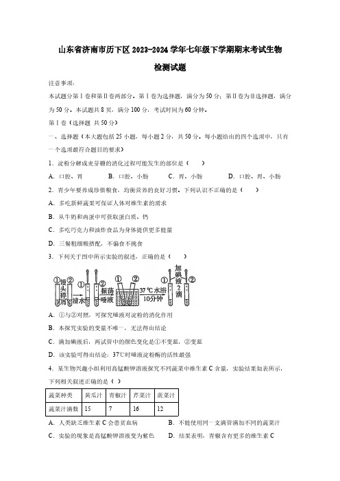 山东省济南市历下区2023-2024学年七年级下学期期末考试生物检测试题(含答案)