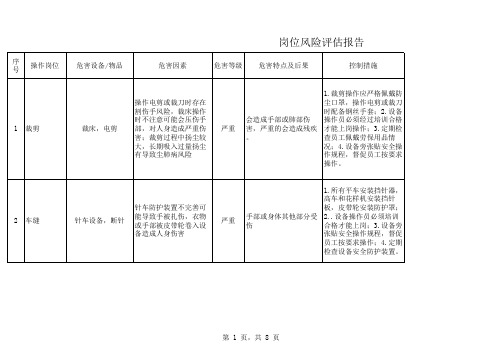 岗位风险评估报告(包袋)