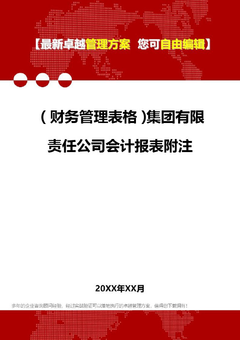 2020年(财务管理表格)集团有限责任公司会计报表附注