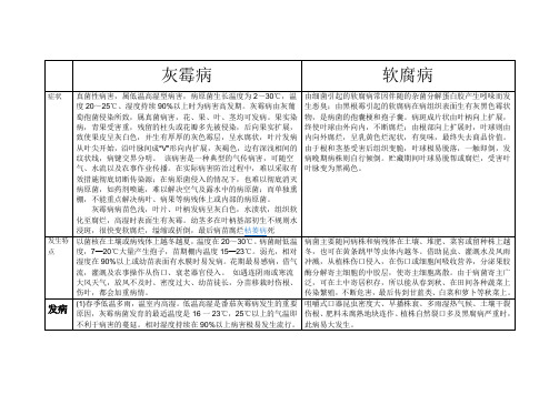 灰霉病与软腐病的区别