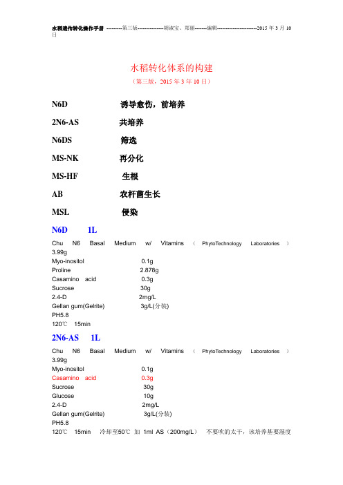 水稻转基因策略-第三版