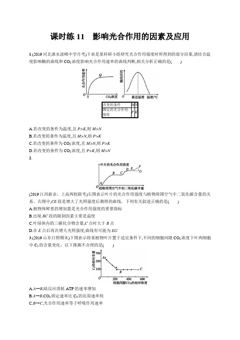 2020高中生物一轮总复习 课时练11 影响光合作用的因素及应用 习题 人教版