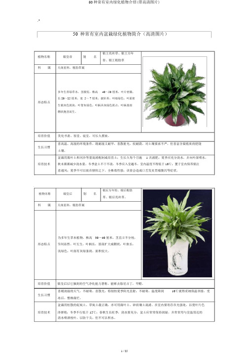 50种常见室内绿化植物介绍(带高清图片)