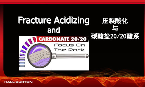 哈里伯顿-压裂酸化-Carbonate Acidizing - Chinese- 中文