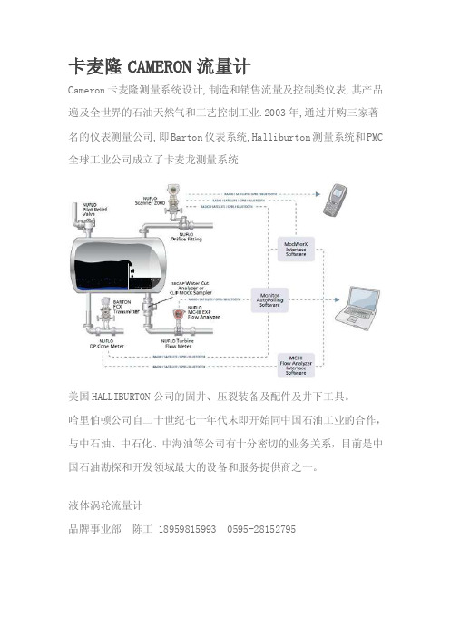 [指南]卡麦隆CAMERON流量计