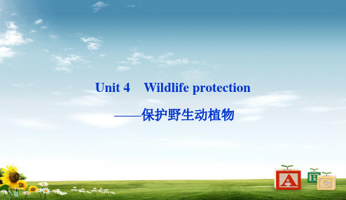 人教版2017高中(必修二)英语 Unit4_Wildlife_protection_——保护野生动植物ppt课件
