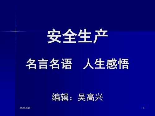 安全生产名言名语人生感悟-28页PPT精品文档