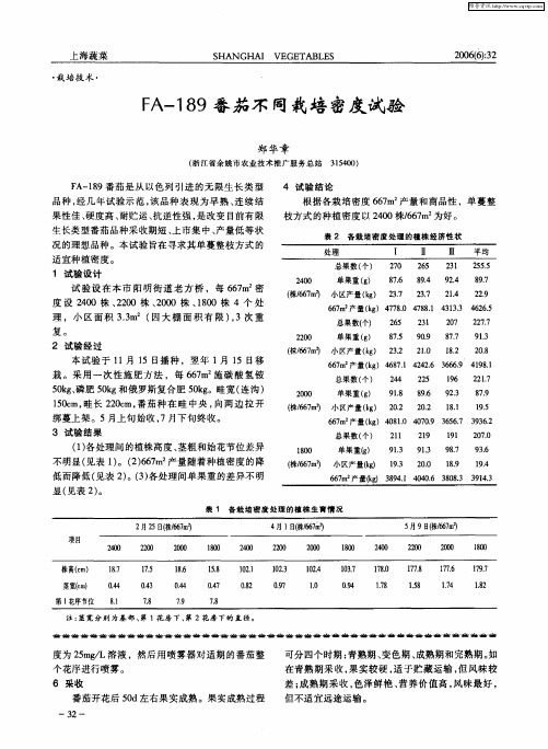 FA-189番茄不同栽培密度试验