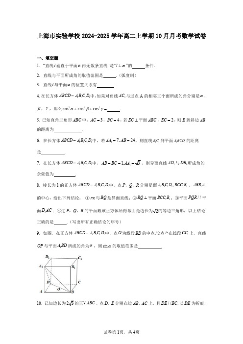 上海市实验学校2024-2025学年高二上学期10月月考数学试卷