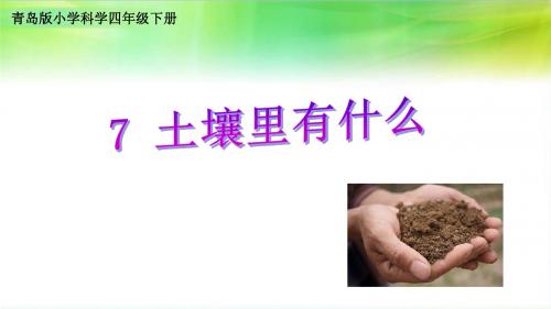 新课标青岛版小学科学四年级下册 7《土壤里有什么》课件
