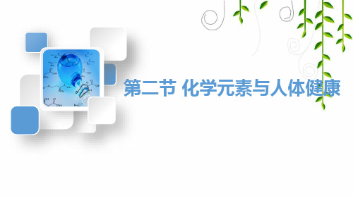 鲁教版化学九年级下册第二节 化学元素与人体健康课件