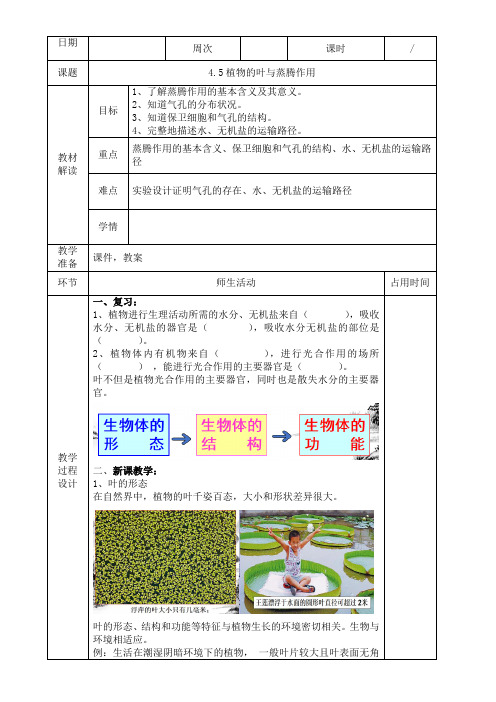 浙教版科学八年级下册 4.5   植物的叶与蒸腾作用   教案设计