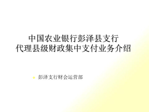 代理县级财政集中支付业务介绍