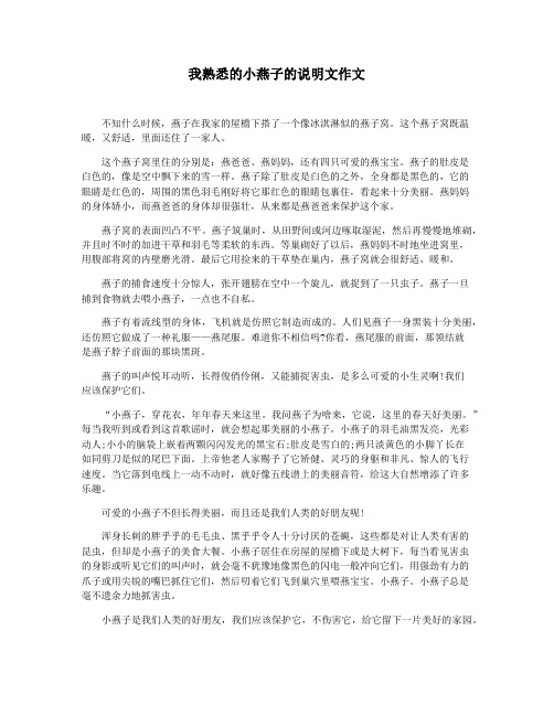 我熟悉的小燕子的说明文作文