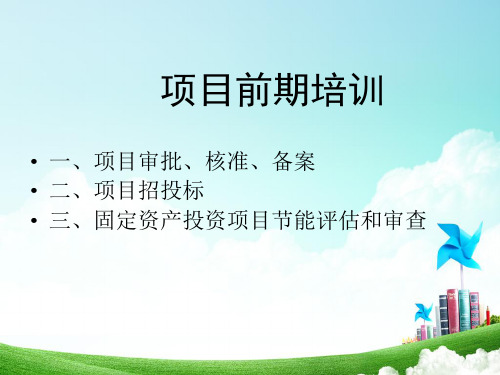 发改委项目审批、核准、备案、招投标、节能评估审查培训教程