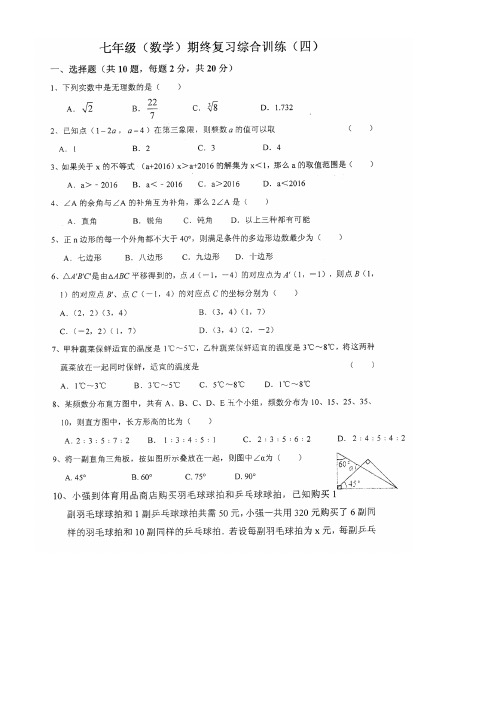 江苏省南通市海安县2017-2018学年七年级数学下学期期终复习综合训练(四)(扫描版,无答案)