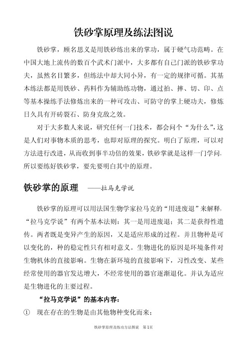 pdf版 铁砂掌原理及练法图说