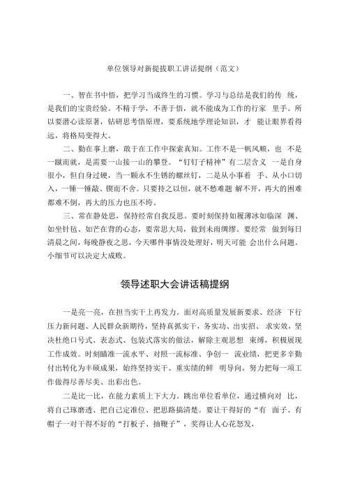 单位领导对新提拔职工讲话和述职大会讲话提纲