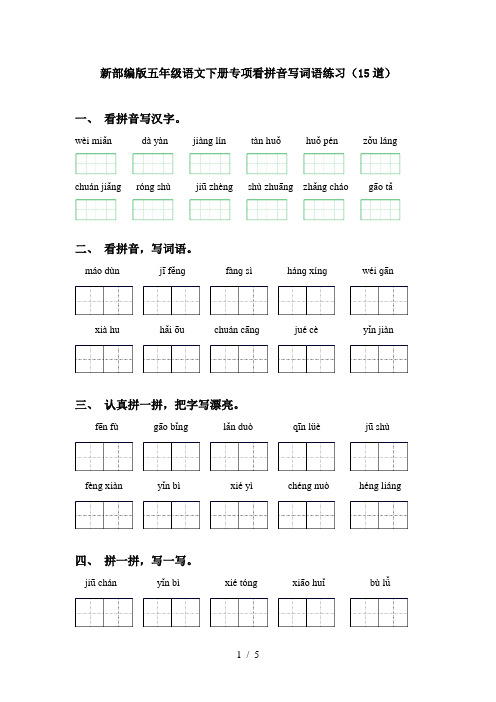 新部编版五年级语文下册专项看拼音写词语练习(15道)