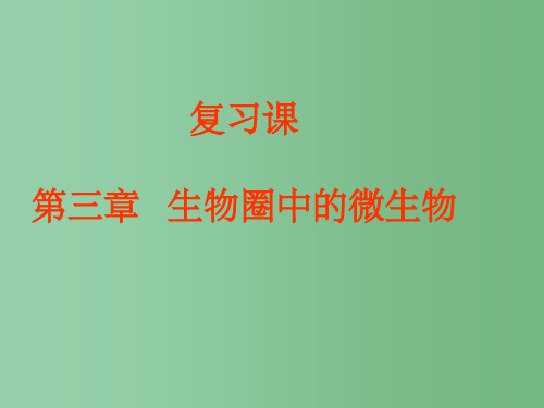 七年级生物上册 第三章 生物圈中的微生物课件 济南版