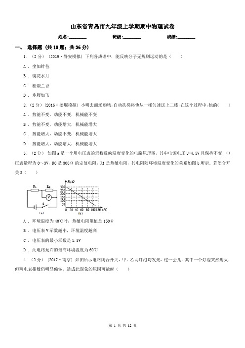 山东省青岛市九年级上学期期中物理试卷