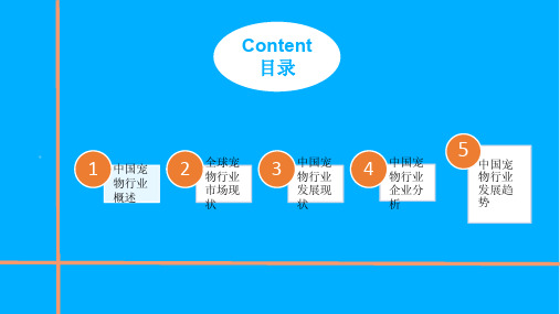 2018年中国宠物行业市场前景研究报告