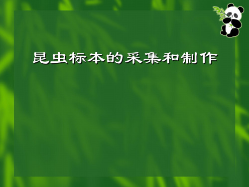 昆虫研究法--5昆虫标本的采集与制作