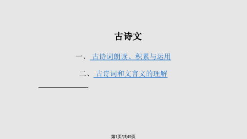 小升初语文专项复习——古诗文PPT课件