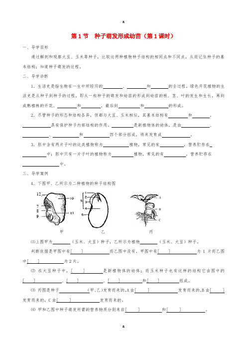 七年级生物上册 3_6_1 种子萌发形成幼苗学案 北师大版