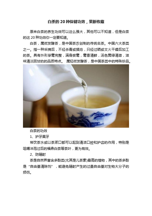 白茶的20种保健功效，果断收藏