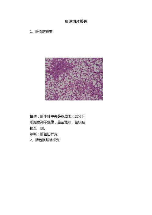 病理切片整理