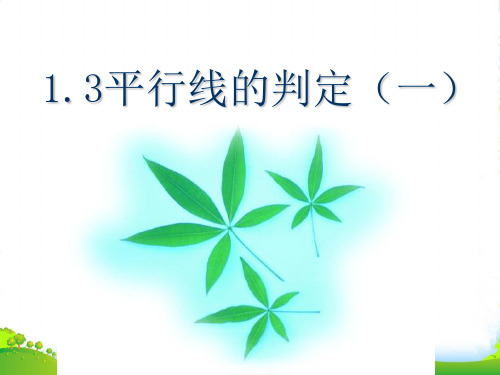 人教版七年级数学下册第五章《平行线的判定1》优质课课件