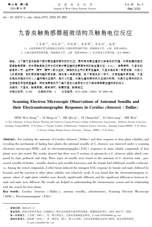 九香虫触角感器超微结构及触角电位反应