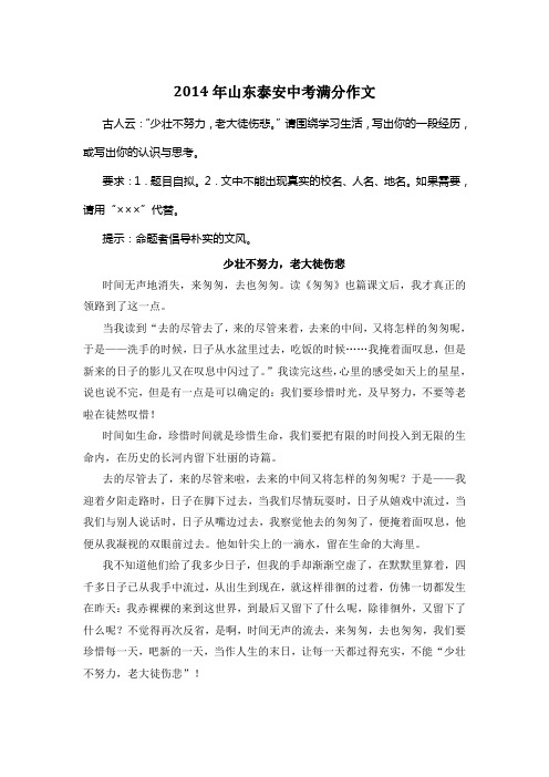 2014年山东泰安中考优秀作文《少壮不努力,老大徒伤悲》